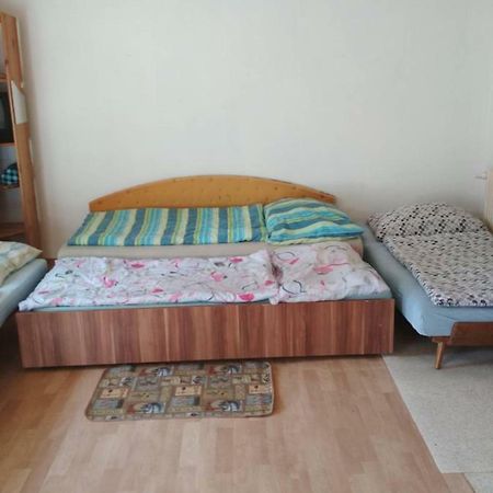 Apartmany Alex Male Dvorany Bagian luar foto