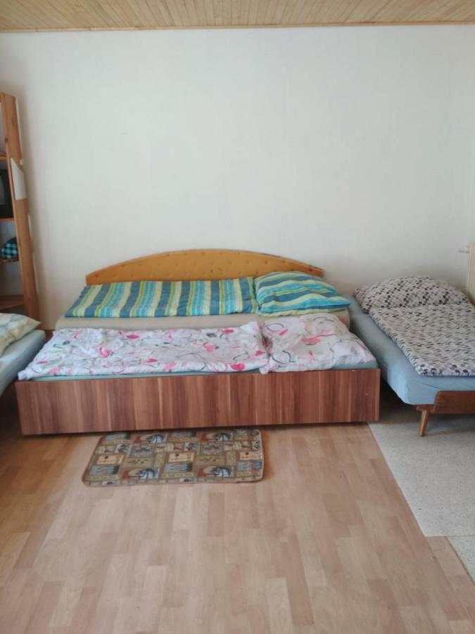 Apartmany Alex Male Dvorany Bagian luar foto